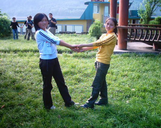 2006  (3)